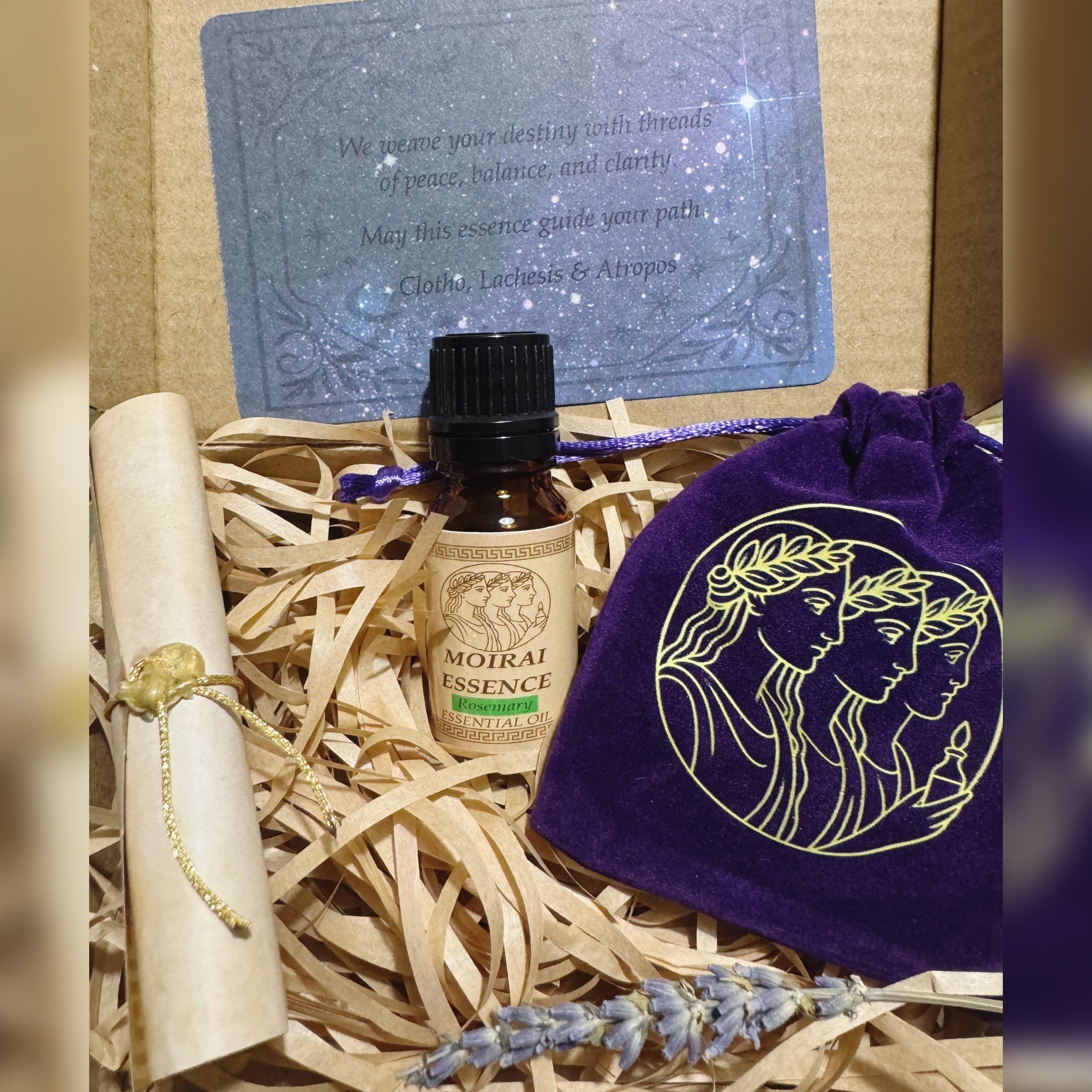 Athena's Insight - Rosemary (Spanish) Essential Oil