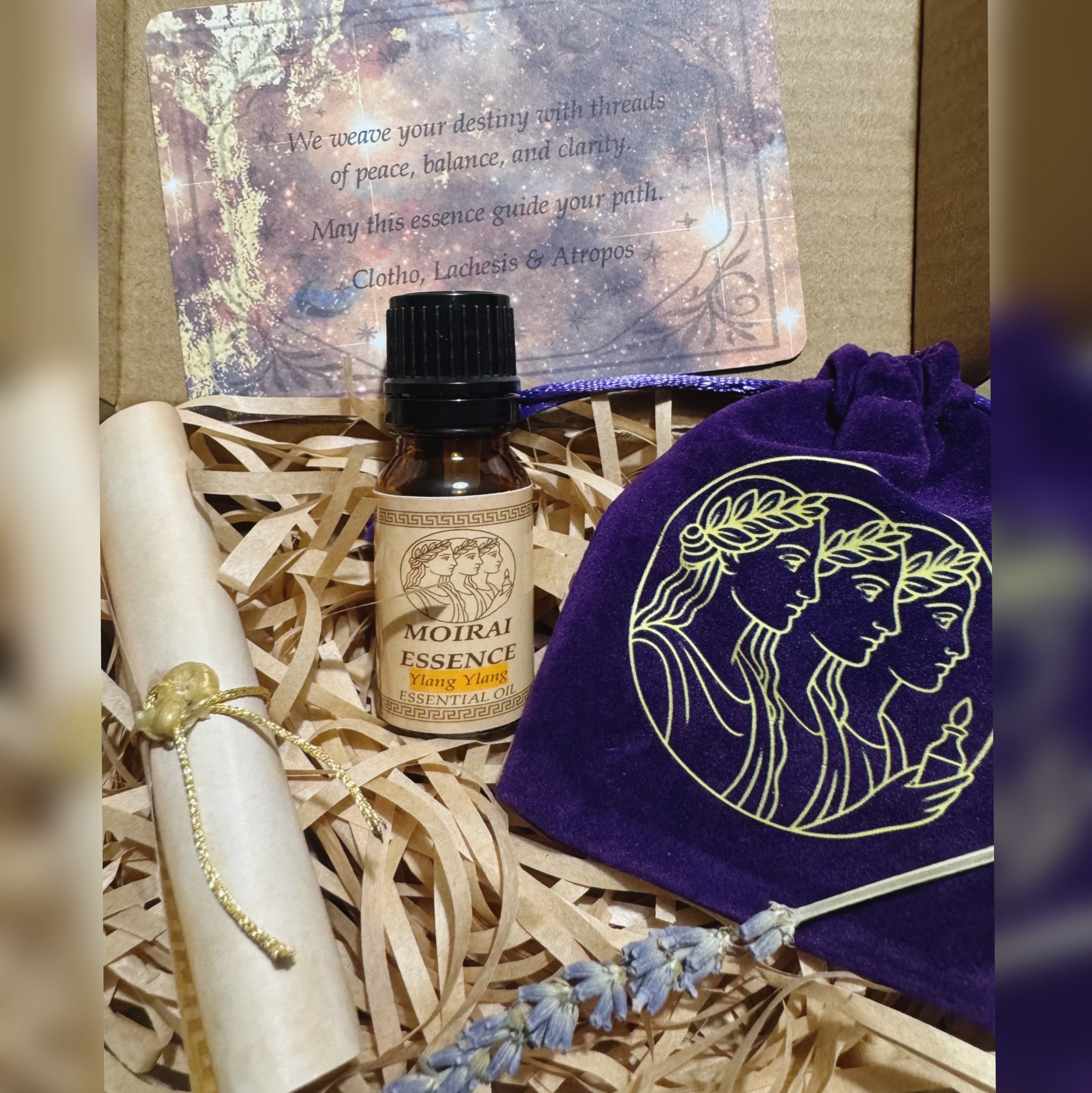 Aphrodite's Bloom - Ylang Ylang Essential Oil