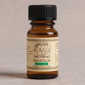 Athena's Insight - Rosemary (Spanish) Essential Oil